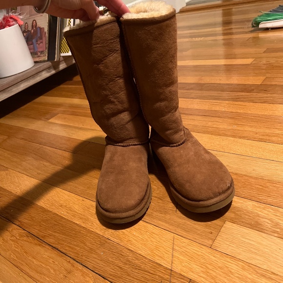 Classic Tall Chestnut Uggs - Picture 1 of 2